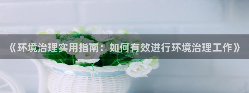 凯发k8网站是多少：《环境治理实用指南：如何有效进行环境治理工作》