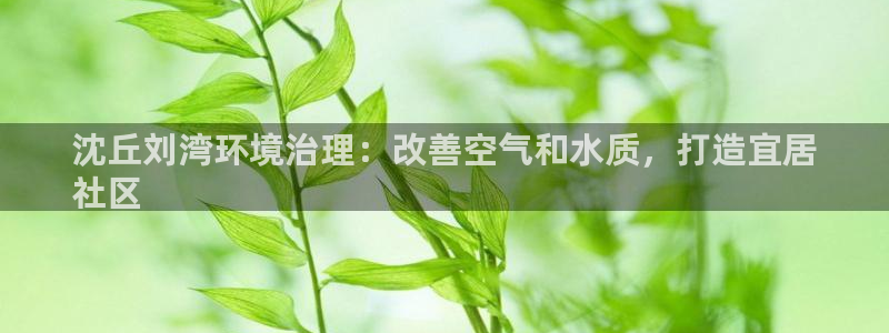 天生赢家K8|沈丘刘湾环境治理：改善空气