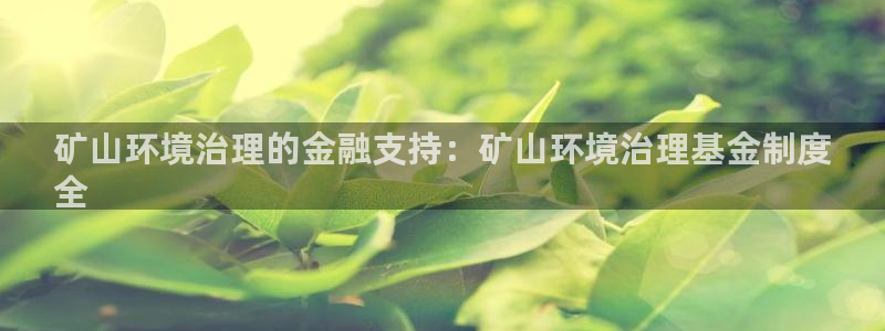 凯发官网入口首页|矿山环境治理的金融支持