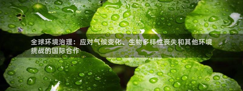 凯发k8国际(中国)官方网站·一触即发|全球环境治理：应对气候变化、生物多样性丧